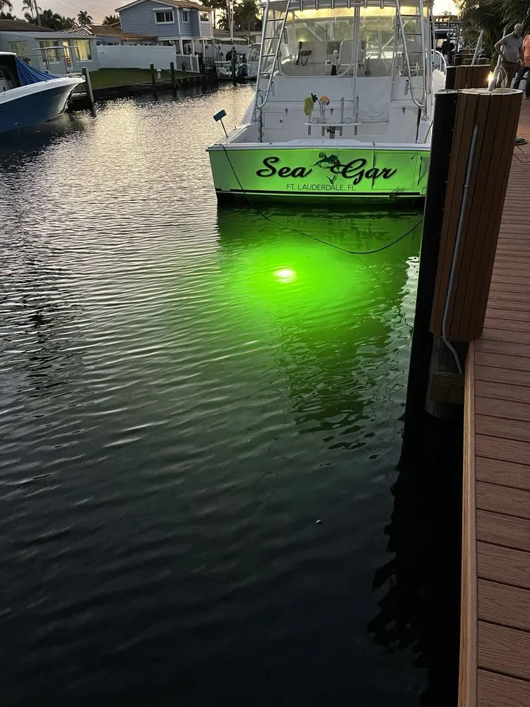 Slide of Watt’s Up Electric