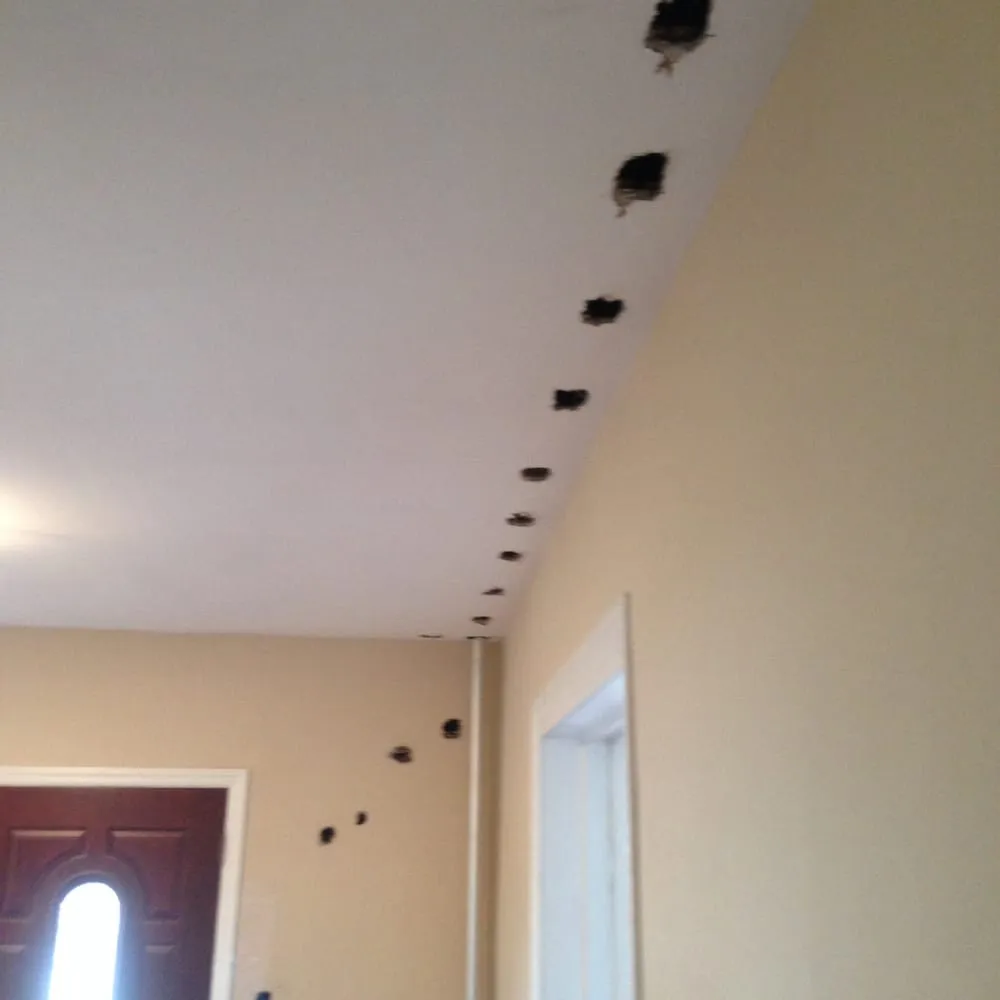 Slide of Watts-Up Electrical