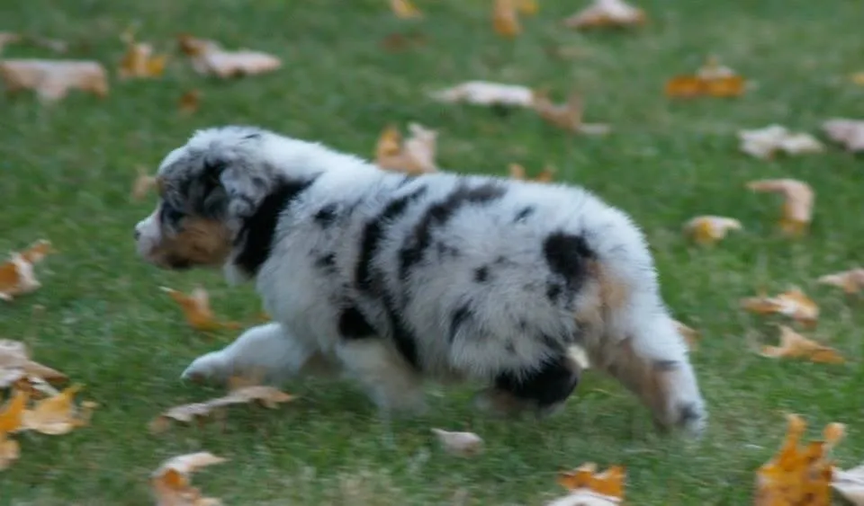 Slide of WattsControl