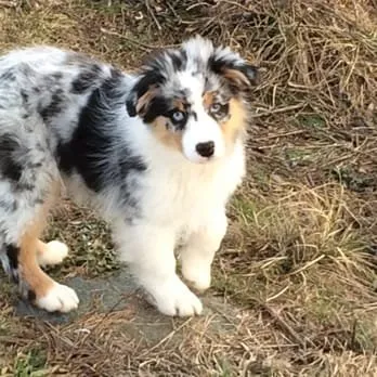 Slide of WattsControl