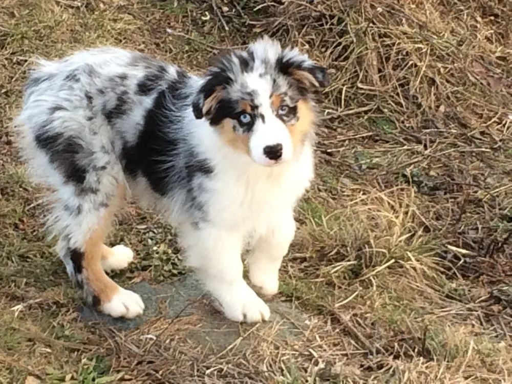 Slide of WattsControl