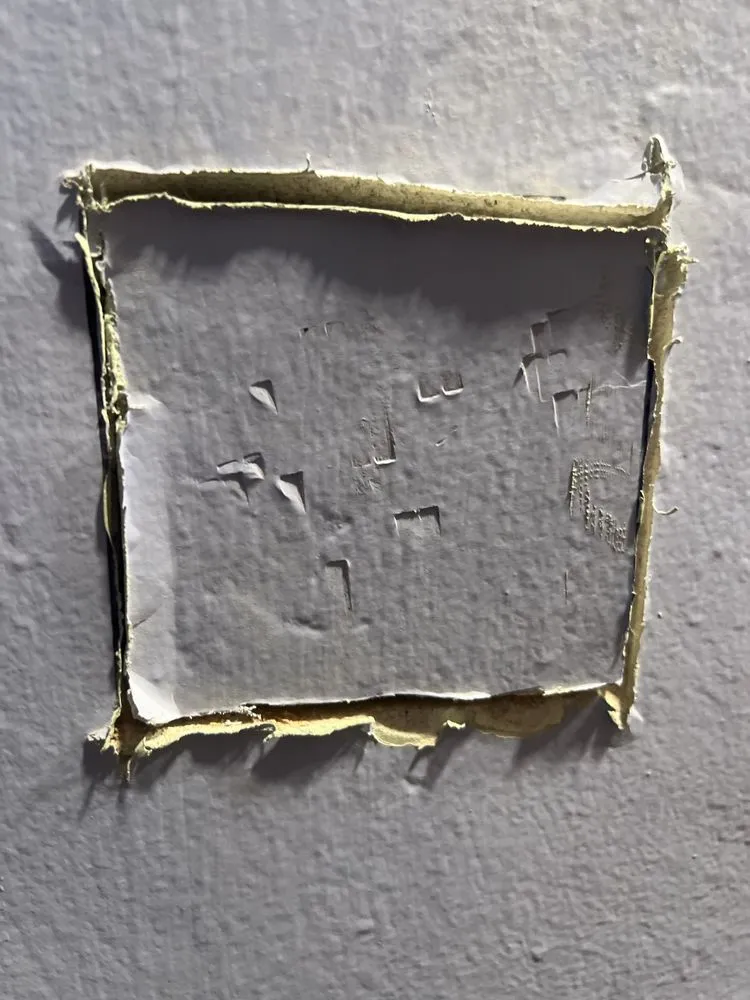 Slide of Wayne Electric