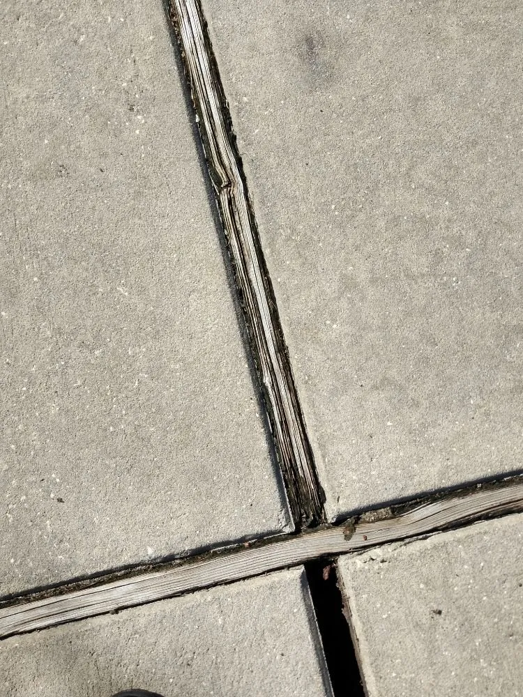 Slide of We Come In HANDY