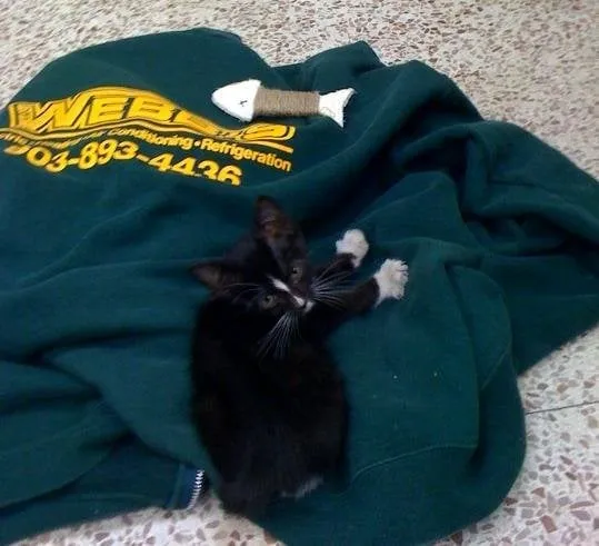 Slide of Webb's Electric, Heating and Air Conditioning