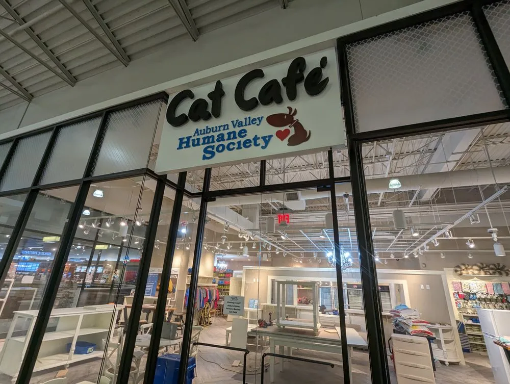 Emergency outlet and switch repair service in ,  - Wellson Wiremen