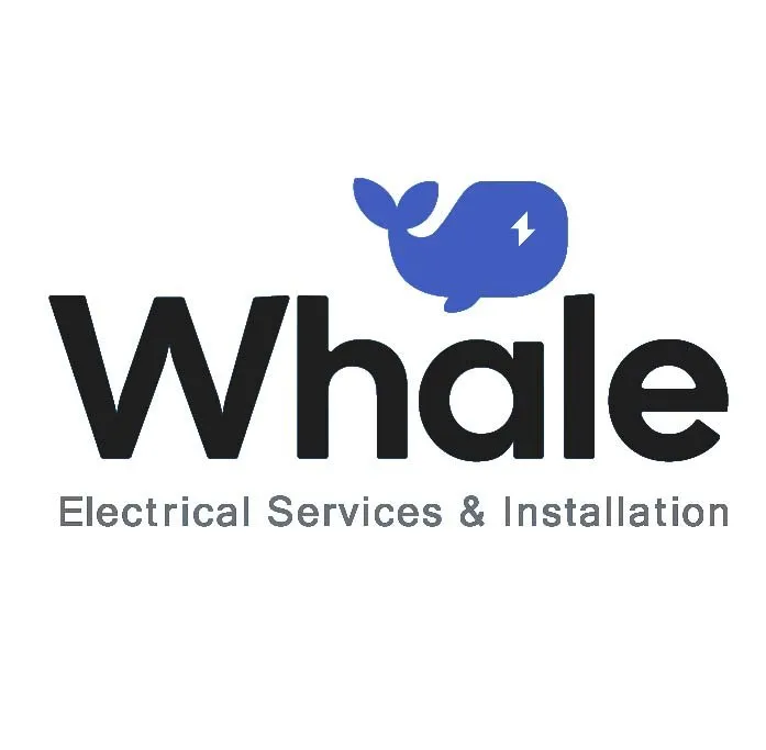 Slide of Whale Electric