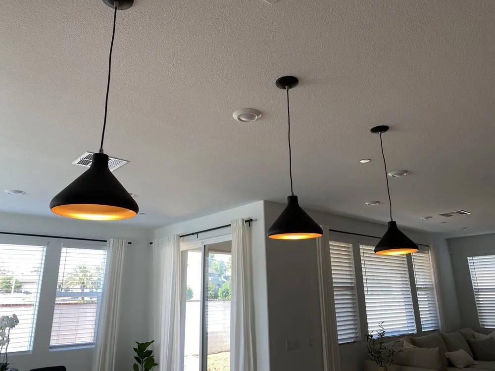 Slide of Wheyland Electric