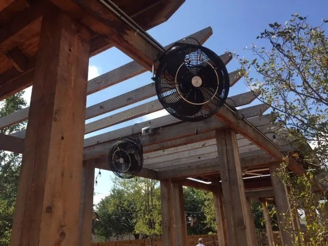 Slide of White Electric