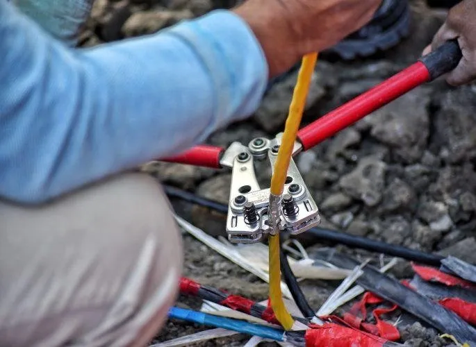 Slide of White Tail Electrical