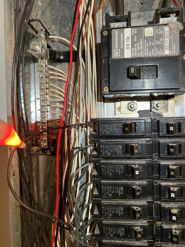 Slide of White Tail Electrical