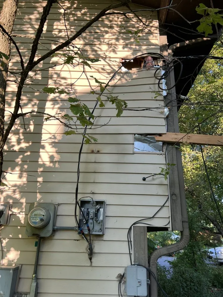 Slide of White Tail Electrical