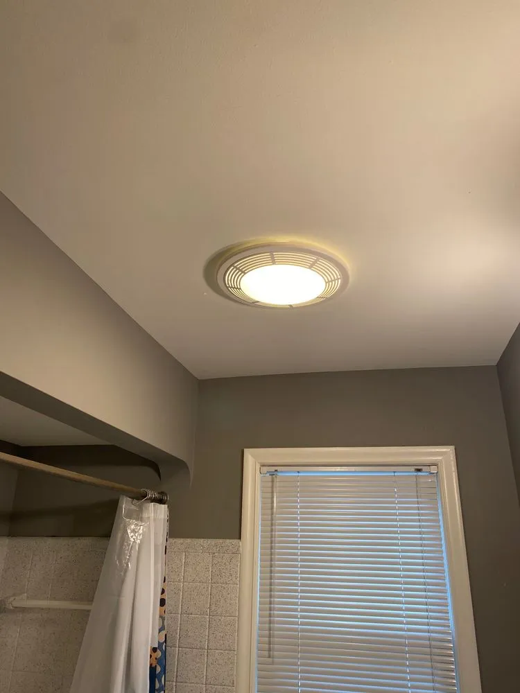 Slide of White Tail Electrical