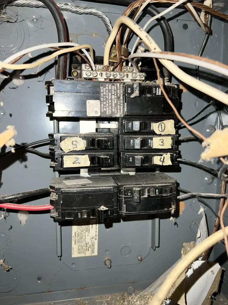 Slide of White Tail Electrical