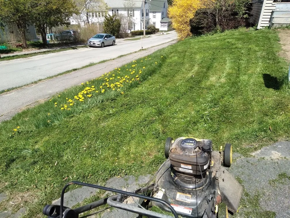 Slide of WhiteCz Lawncare and Cleaning 