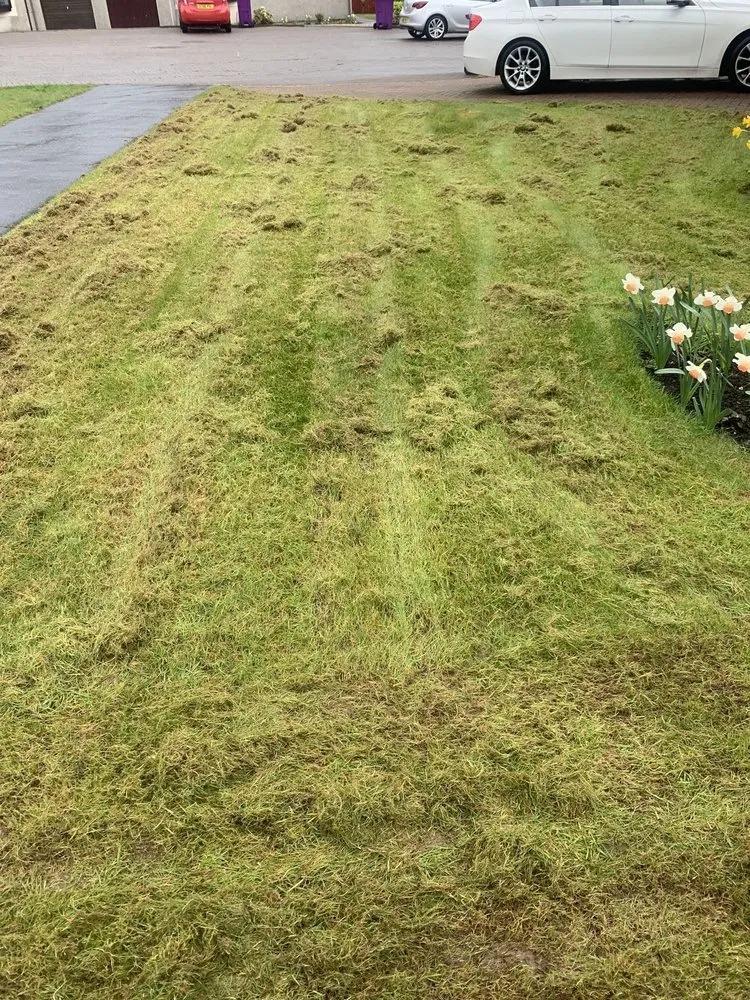 Slide of WhiteCz Lawncare and Cleaning 