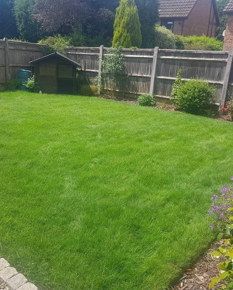 Reliable outlet and switch repair experts serving ,  - WhiteCz Lawncare and Cleaning 