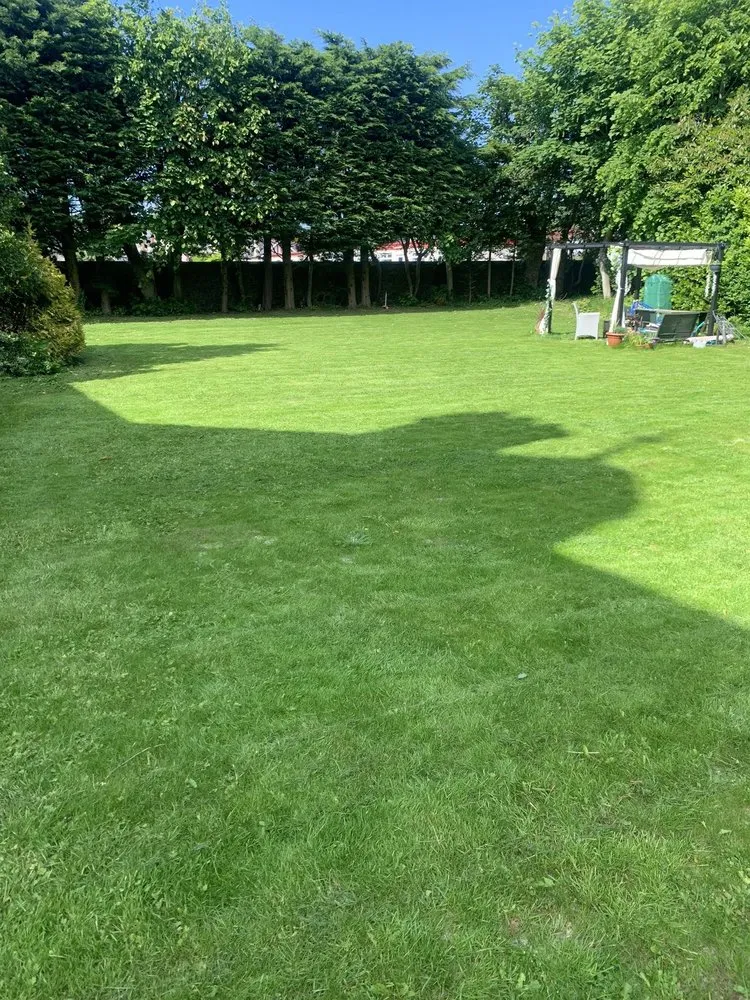 Trusted electrical repair in ,  by WhiteCz Lawncare and Cleaning 