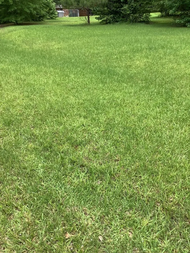 Slide of WhiteCz Lawncare and Cleaning 