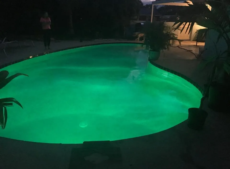 Slide of White's Electric Company