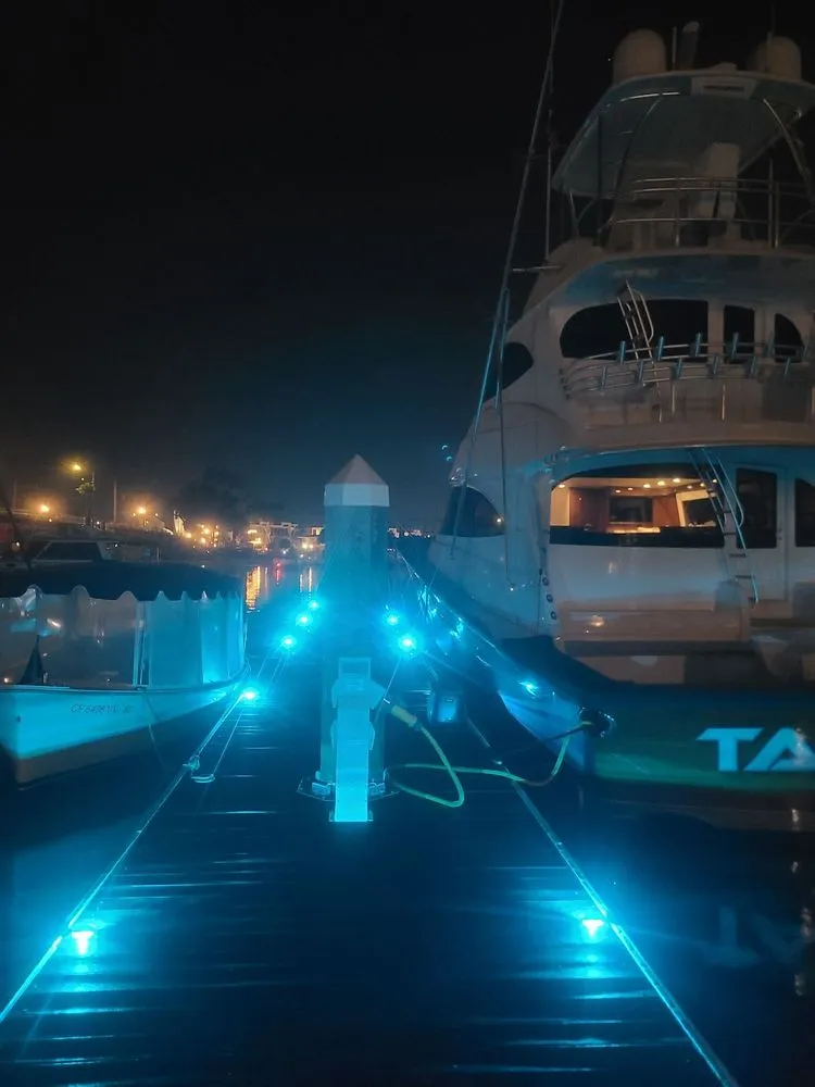 Slide of Whitty Electric