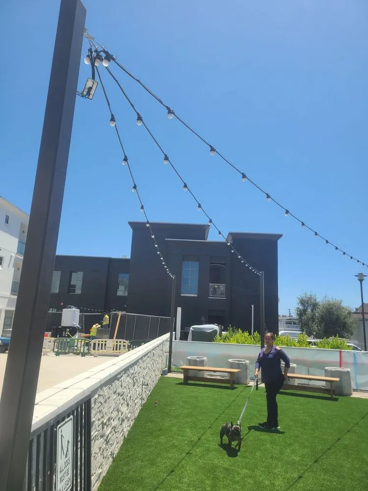 Slide of Whitty Electric