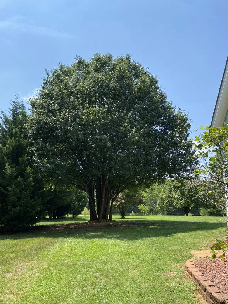 Trusted panel upgrade in Fuquay-Varina, NC by Whole Armor Property Services