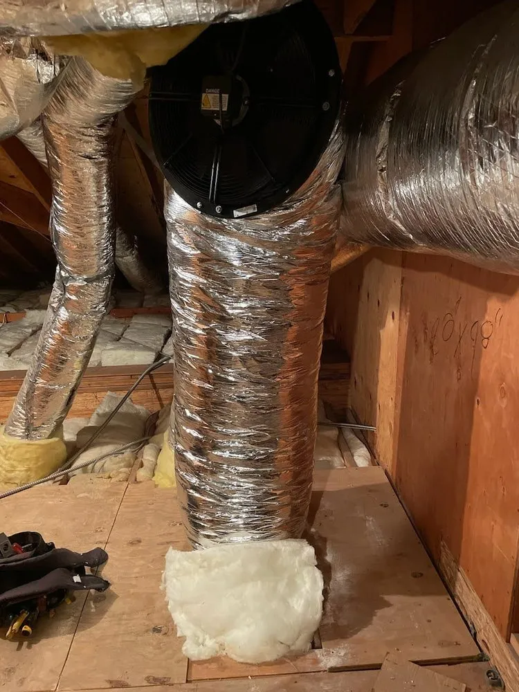 Slide of Wholehouse Fan Man