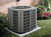 Slide of Wilcox's General Services