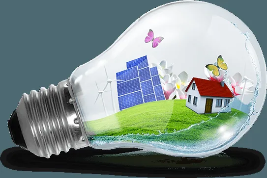 Slide of Wild Electric