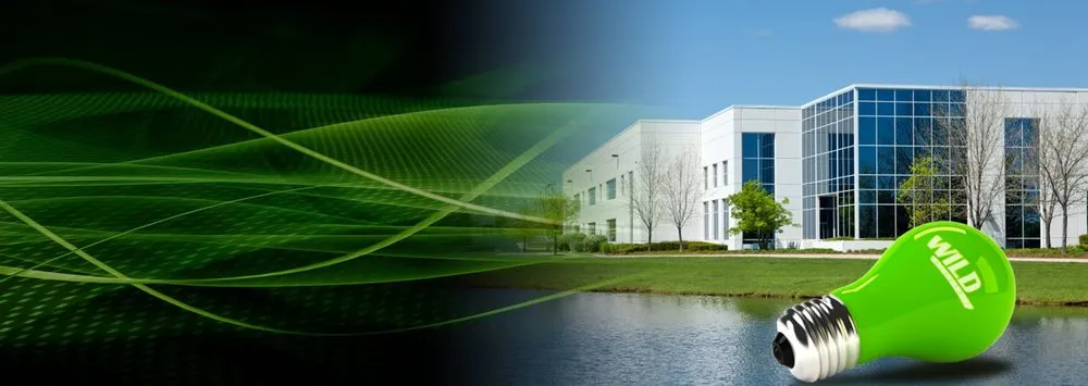 Slide of Wild Electric