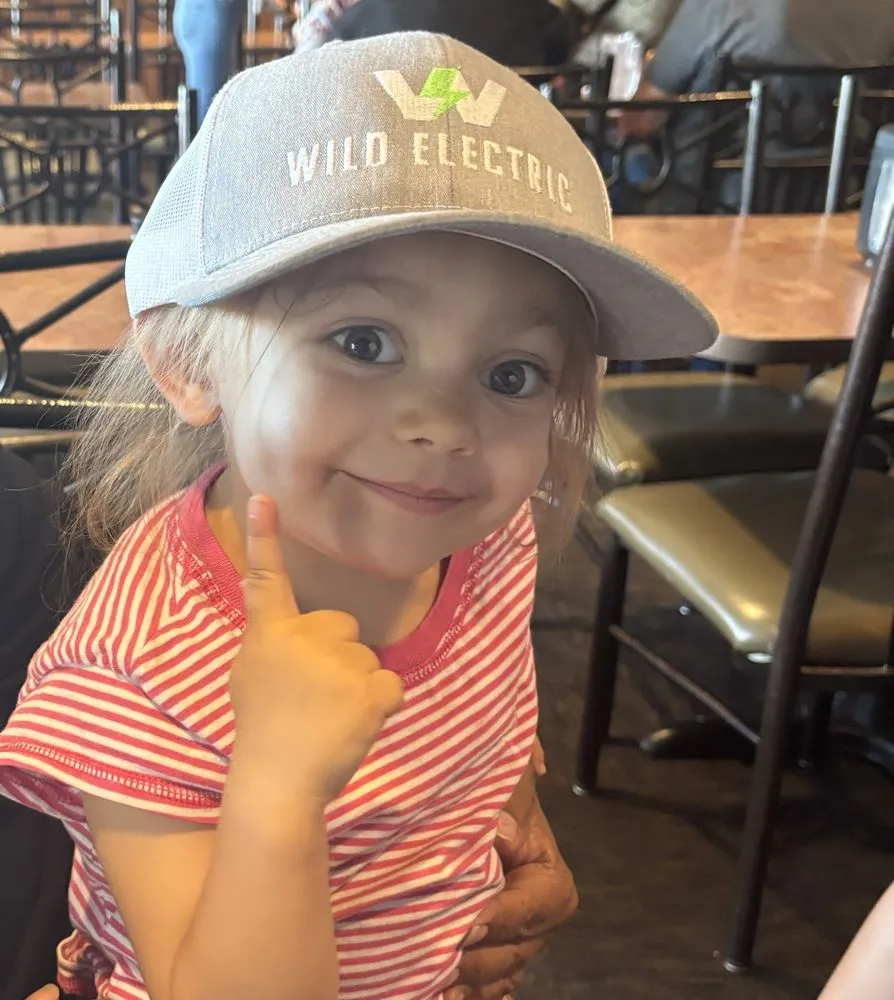 Slide of Wild Electric