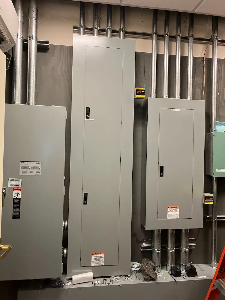 Slide of Wild Electric