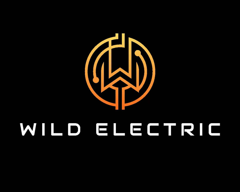Slide of Wild Electric
