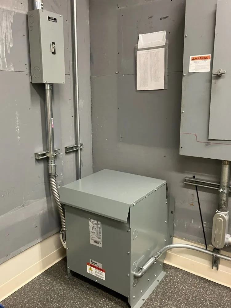 Slide of Wild Electric