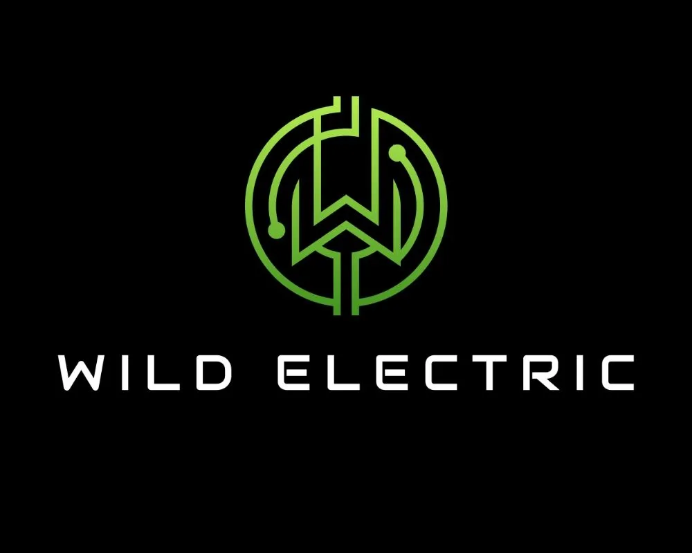 Slide of Wild Electric