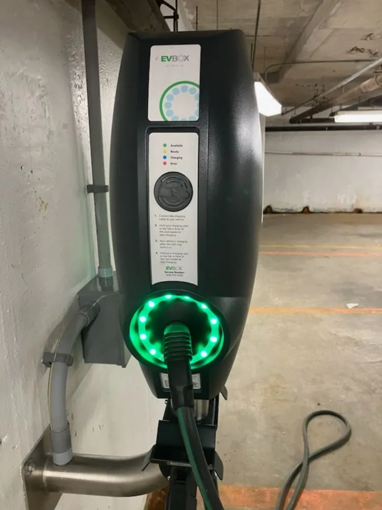 Slide of Wild Electric