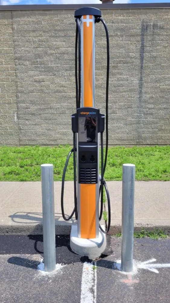 Slide of Wild Electric