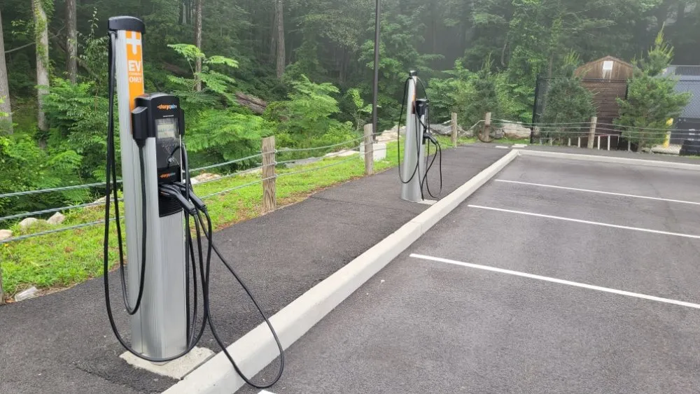 Slide of Wild Electric