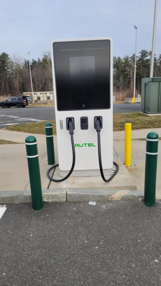 Slide of Wild Electric