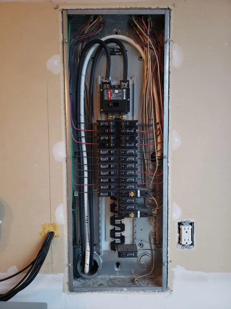 Slide of Wild Electric