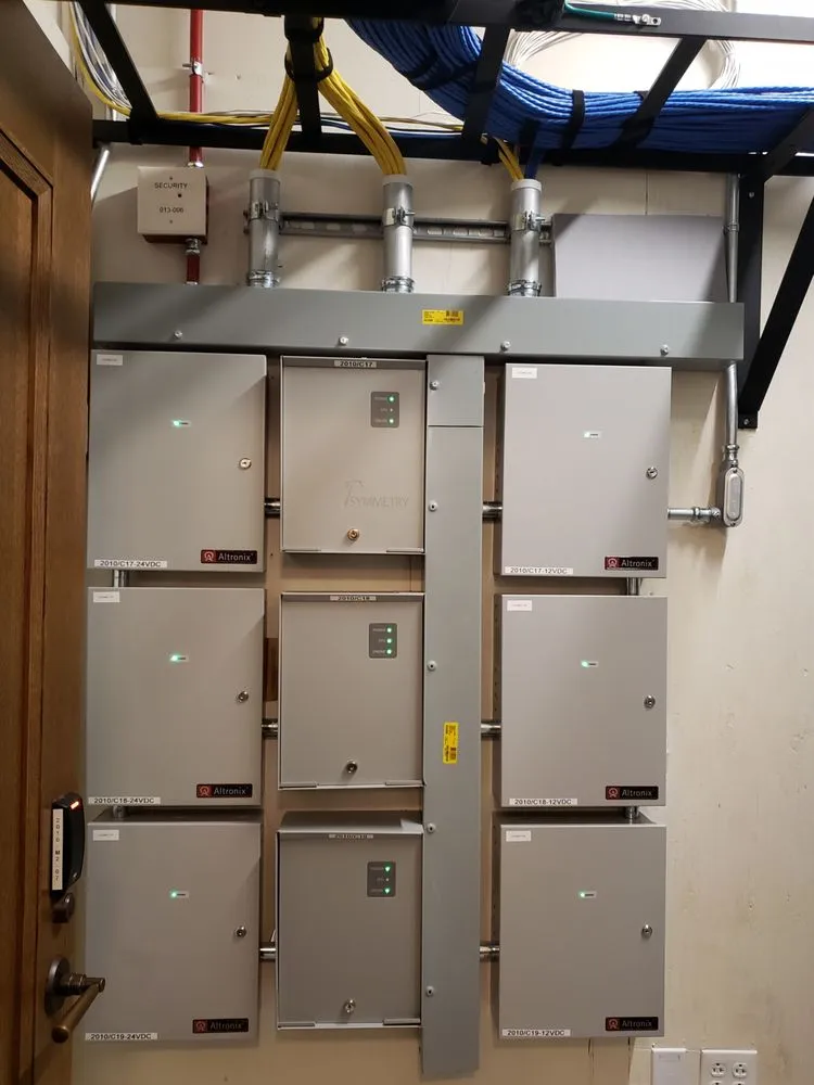 Slide of Wild Electric