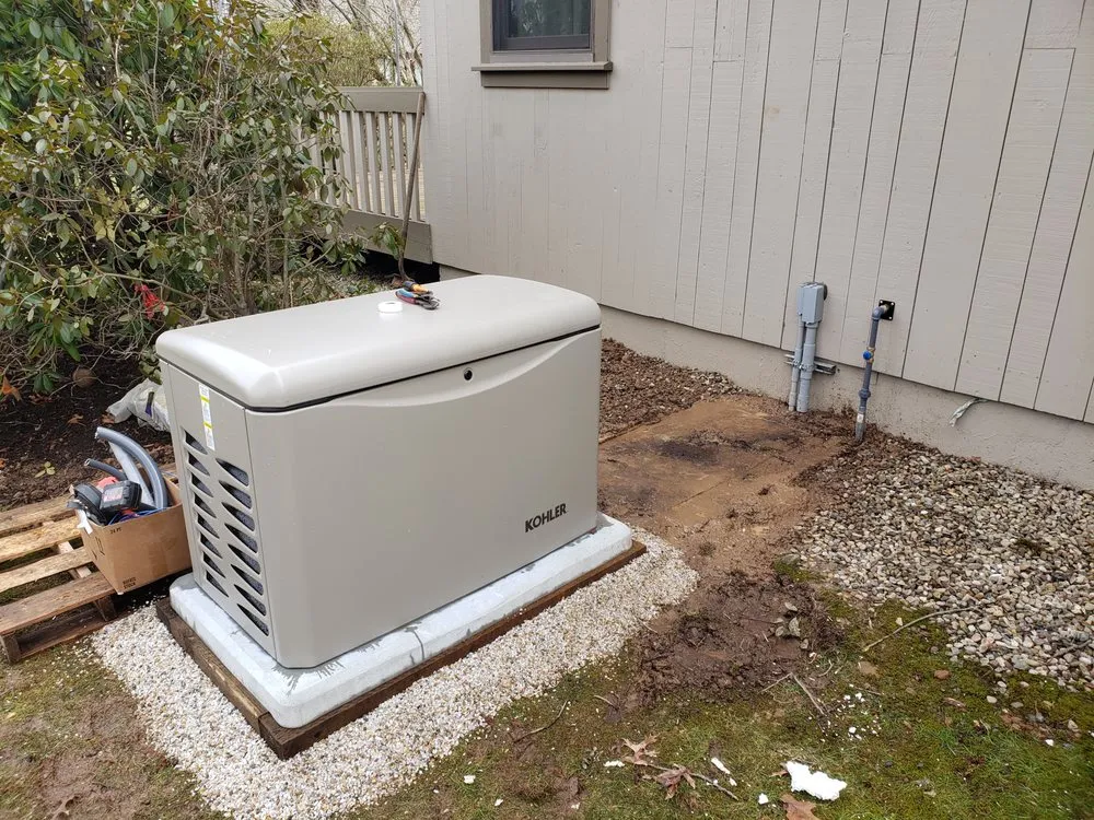 Slide of Wild Electric