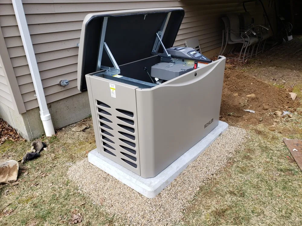 Slide of Wild Electric