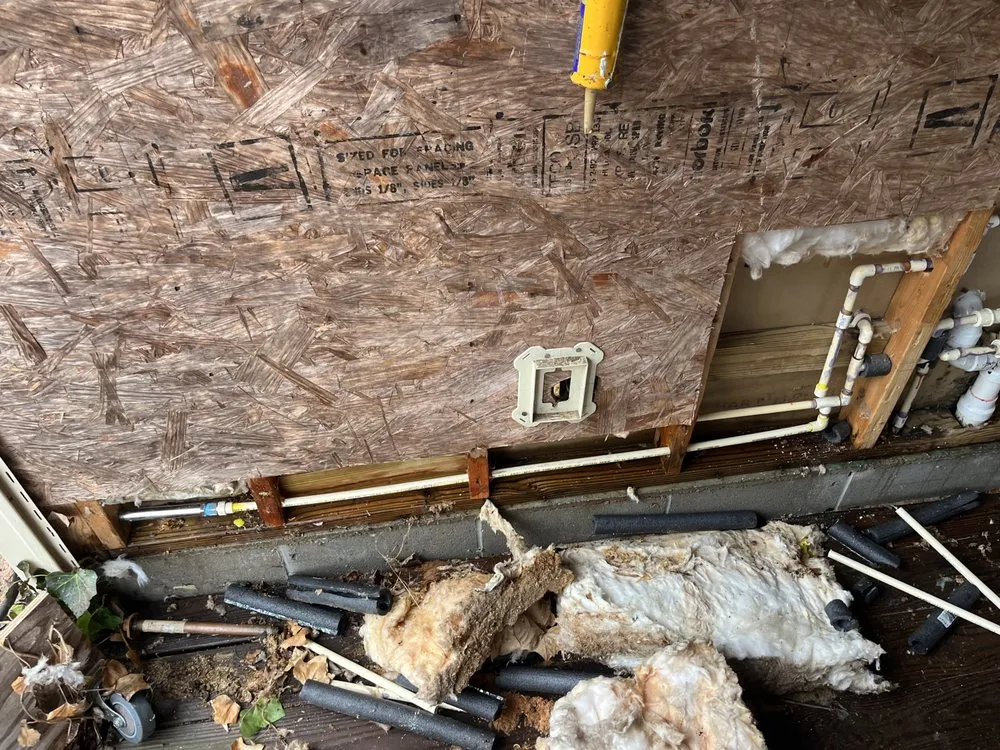 Slide of Wilder’s Repair