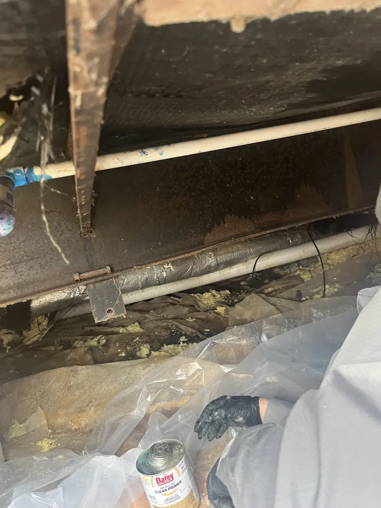 Slide of Wilder’s Repair