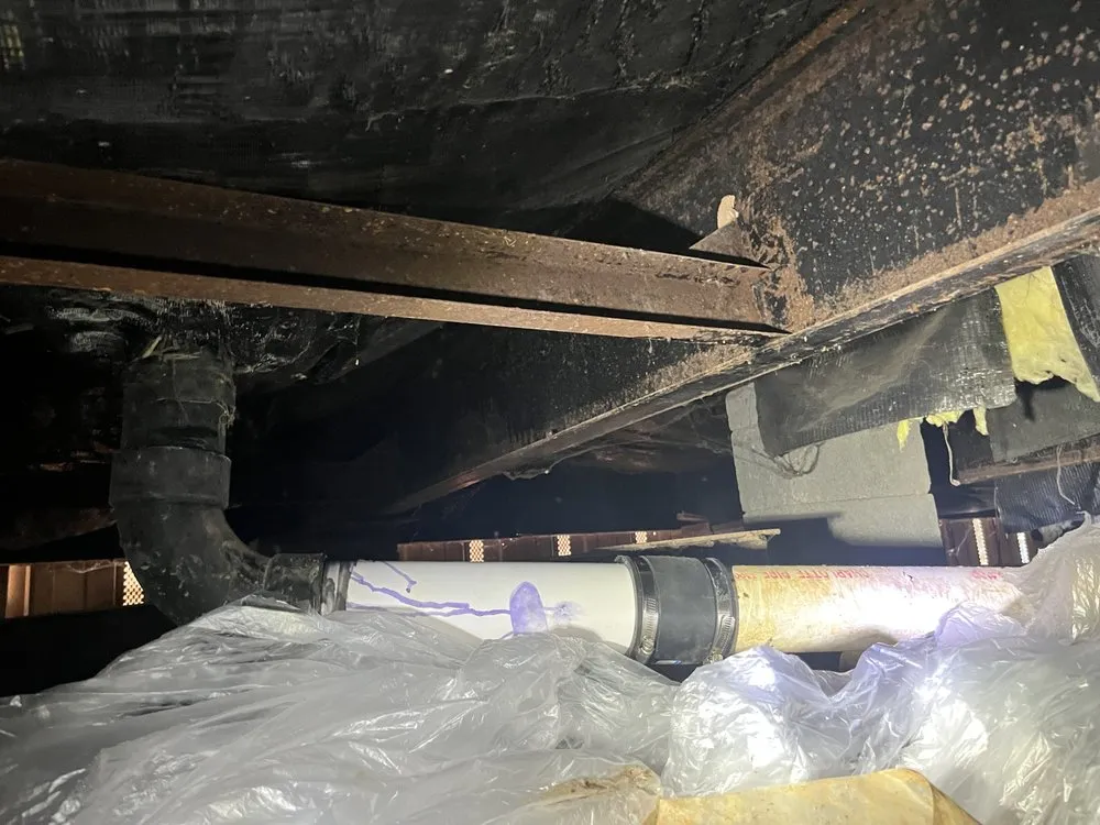 Slide of Wilder’s Repair