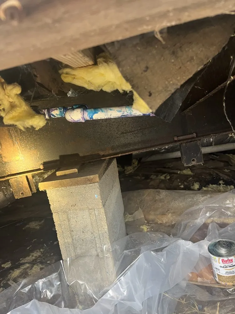 Slide of Wilder’s Repair