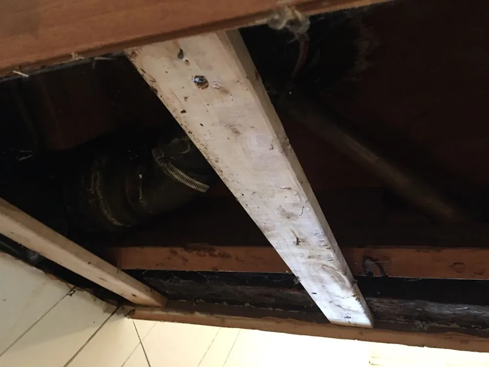 Slide of Wildkats Construction Company