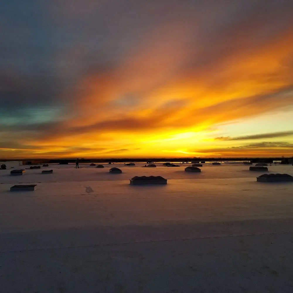 Slide of Wiley Electric