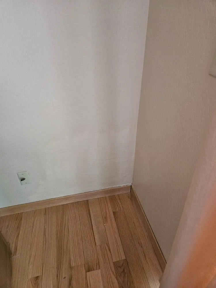 Slide of Wileys 24/7 Services